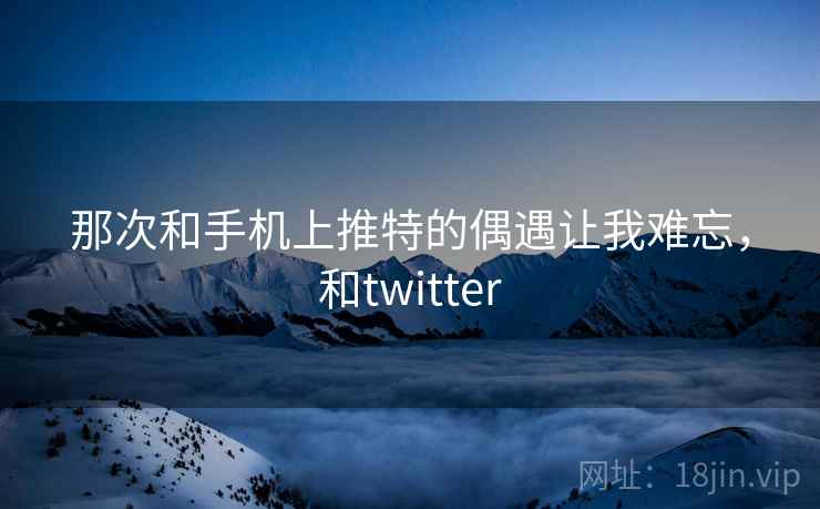 那次和手机上推特的偶遇让我难忘，和twitter