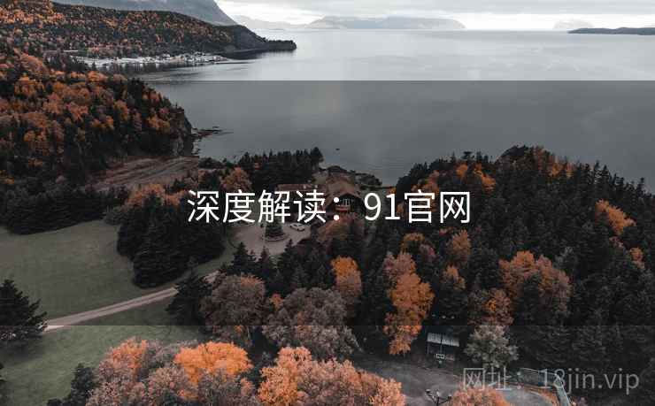 深度解读：91官网